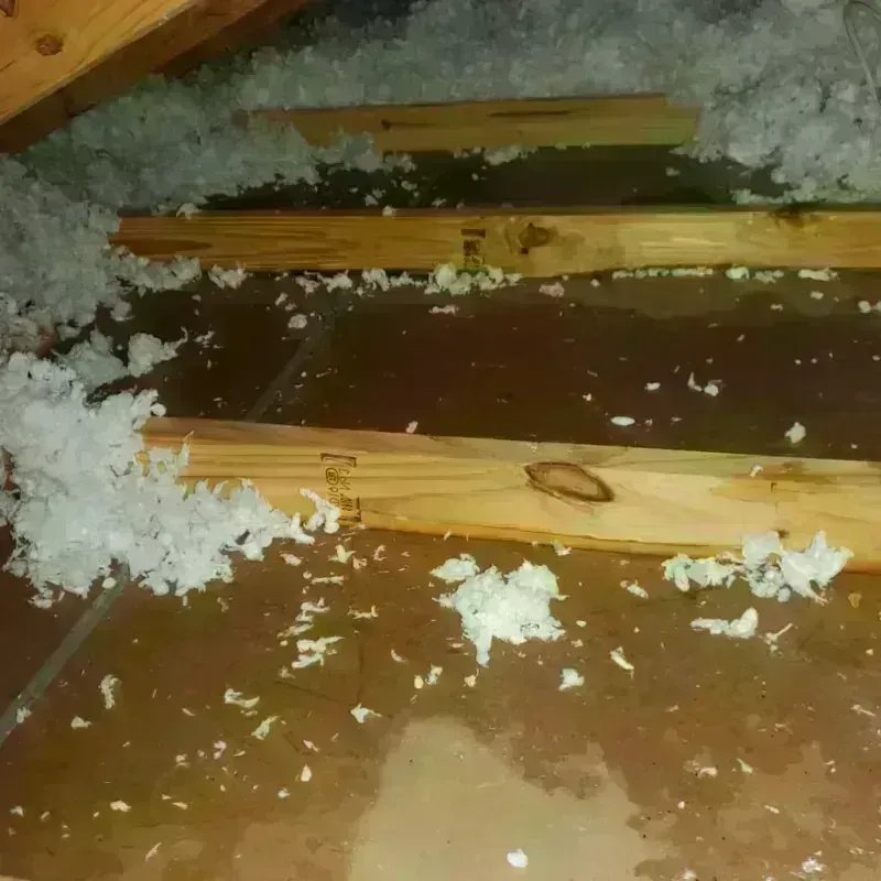 Attic Water Damage in Utah County, UT